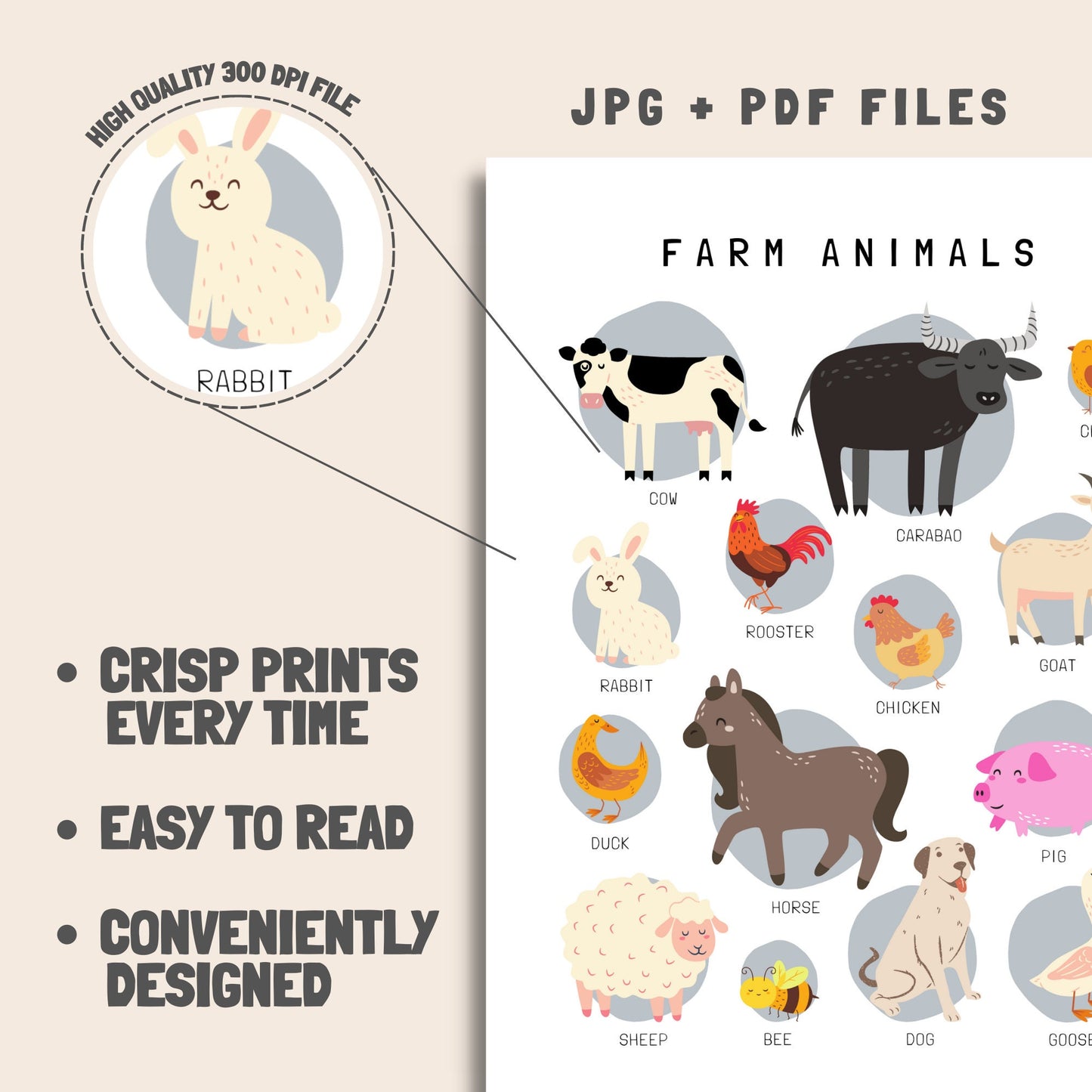 Farm Animals Educational Posters, Homeschool Preschool Downloadable Prints, Printable Montessori Materials, Homeschool Decor,Educational Art