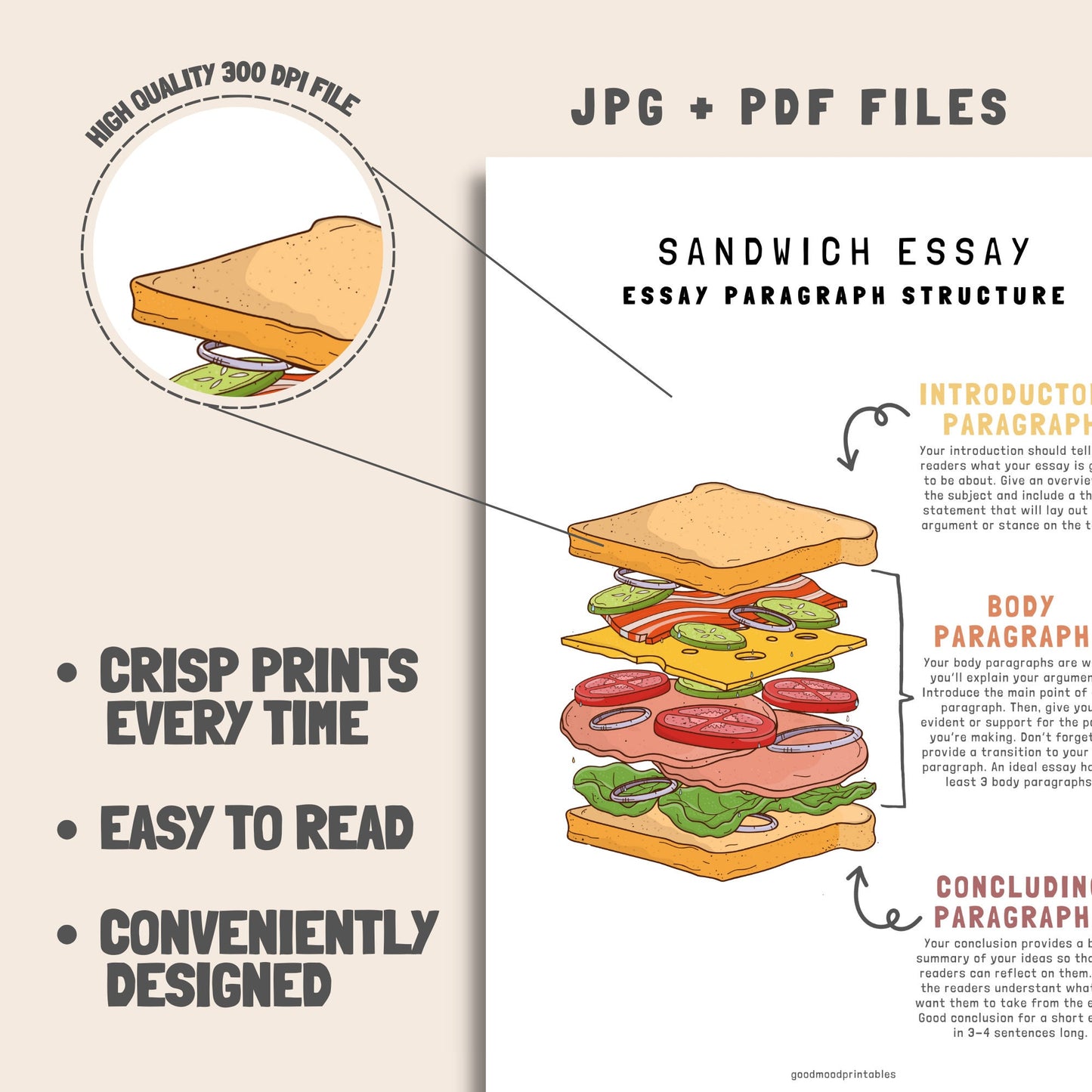 Essay Writing Sandwich Model Poster, Middle High School English Classroom Decor, Writing Poster, Educational Wall Art, English Class Print